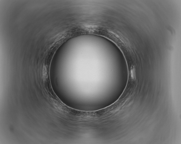 X0000113161347200909041246