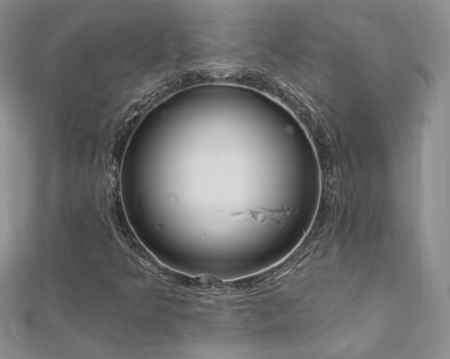 X0000113161349200909041246