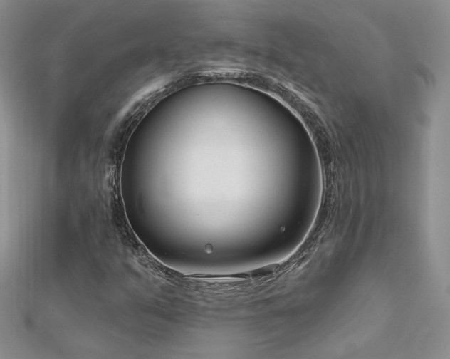 X0000113161351200909041246