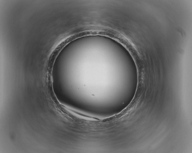 X0000113161352200909041246