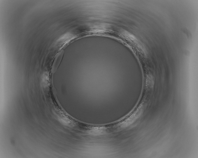 X0000113161353200909041246