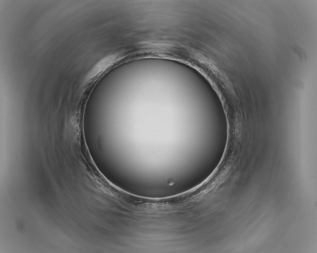 X0000113161354200909041246