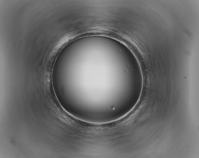 X0000113161355200909041246