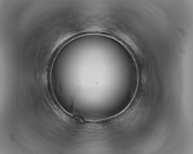X0000113161356200909041246
