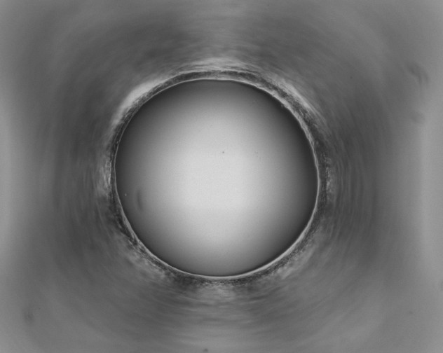 X0000113161358200909041246
