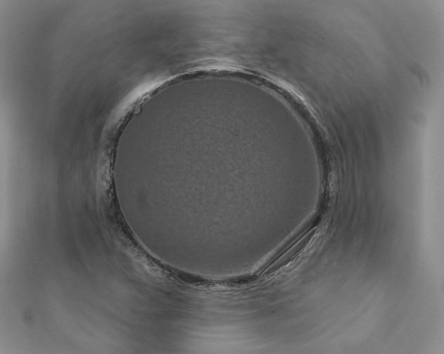 X0000113161359200909041246