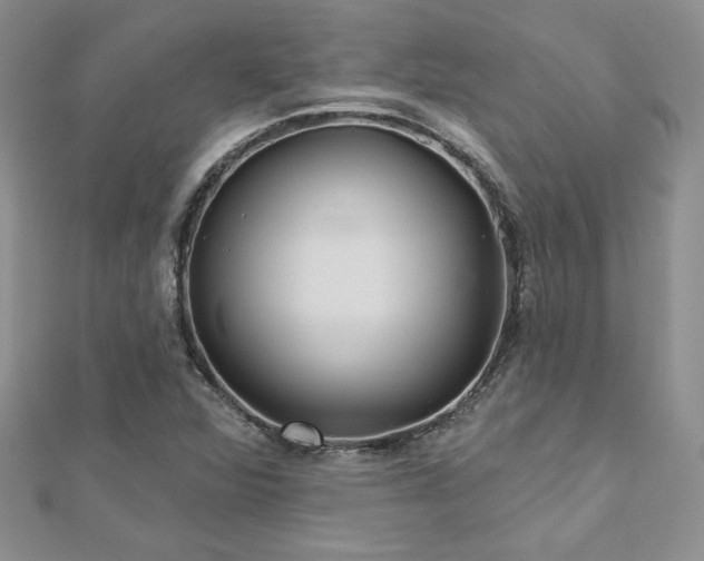 X0000113161360200909041246