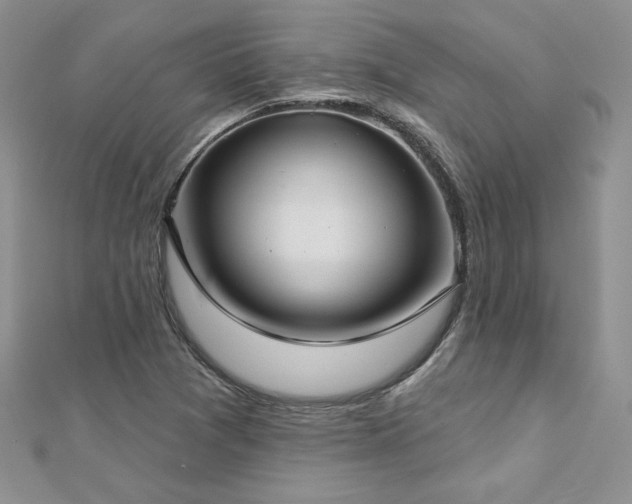 X0000113161361200909041246