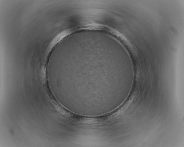 X0000113161362200909041246