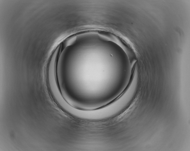 X0000113161365200909041246