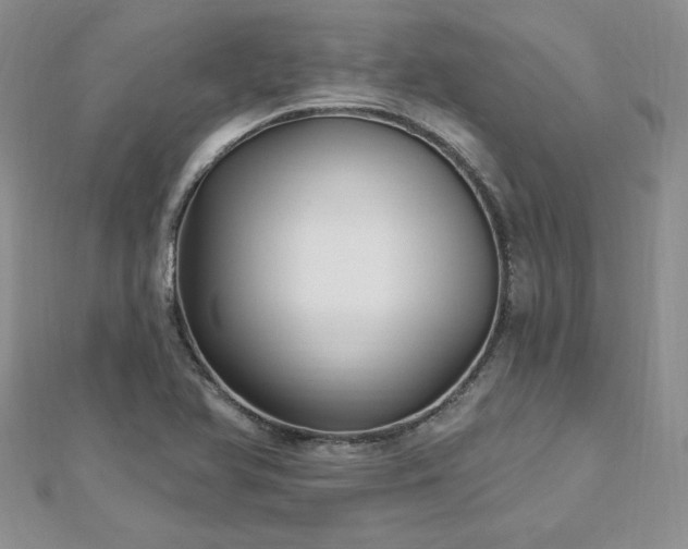 X0000113161366200909041246