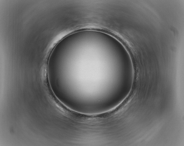 X0000113161367200909041246