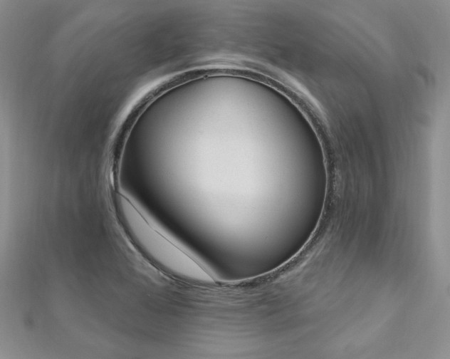 X0000113161368200909041246
