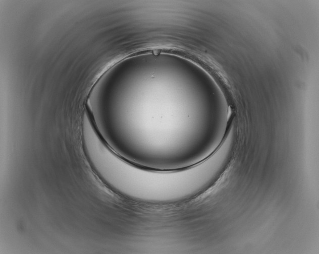 X0000113161369200909041246