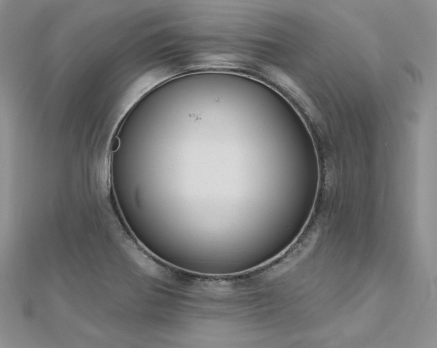 X0000113161370200909041246