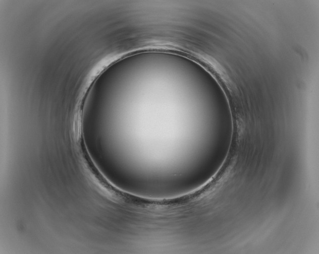X0000113161371200909041246