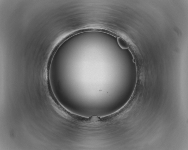 X0000113161372200909041246