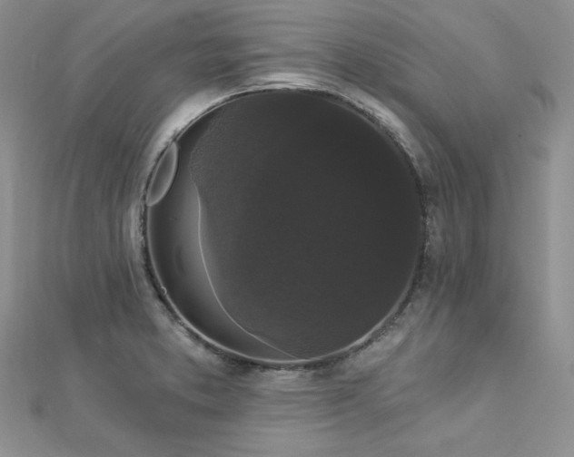 X0000113161373200909041246