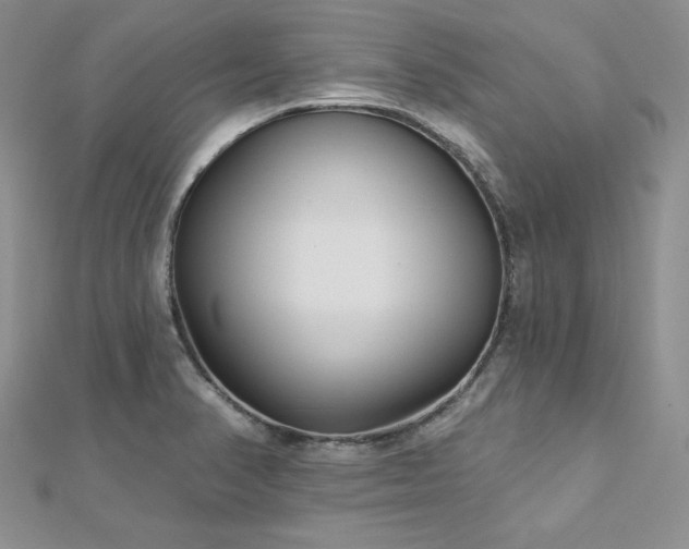 X0000113161374200909041246