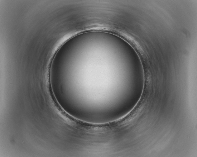 X0000113161375200909041246
