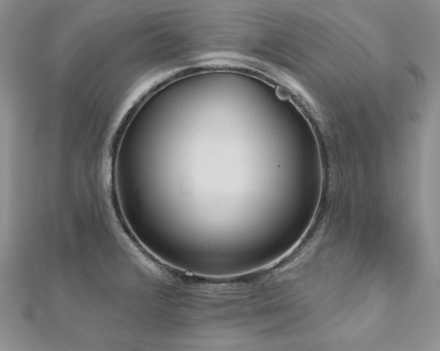 X0000113161376200909041246
