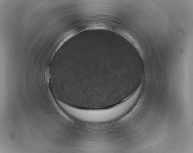 X0000113161377200909041246