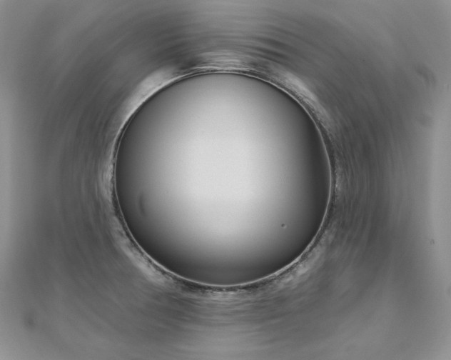 X0000113161378200909041246