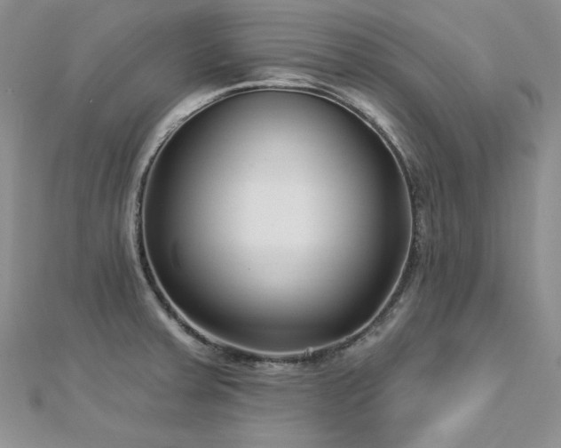 X0000113161379200909041246