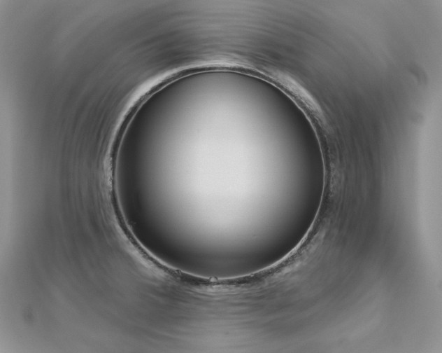 X0000113161380200909041246