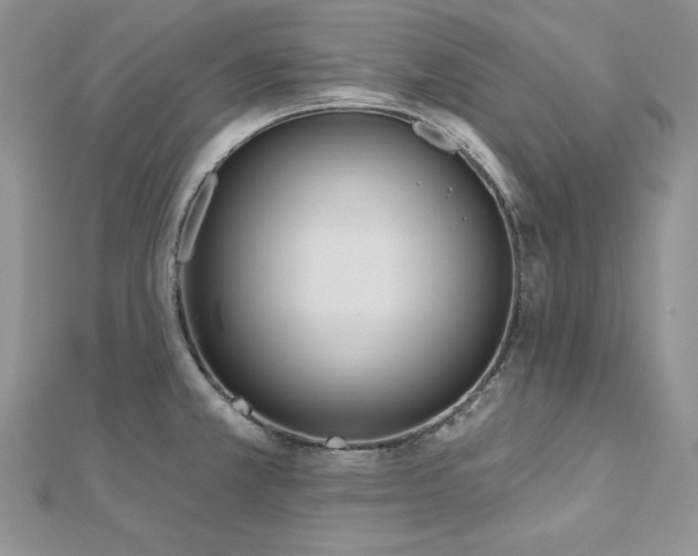 X0000113161381200909041246