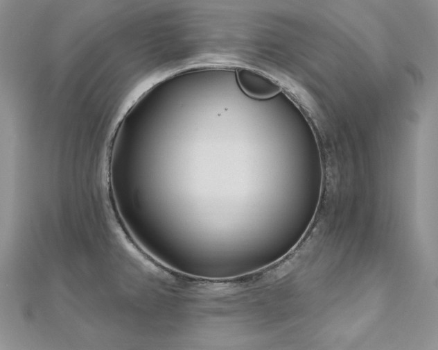 X0000113161382200909041246