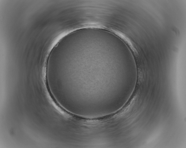 X0000113161383200909041246