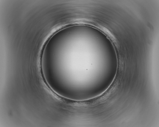 X0000113161384200909041246