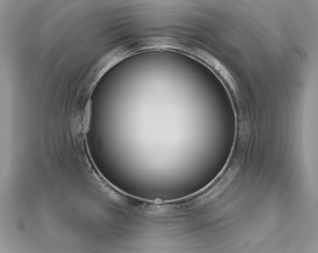 X0000113161385200909041246