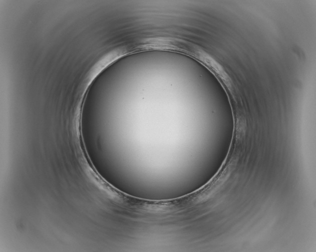 X0000113161386200909041246