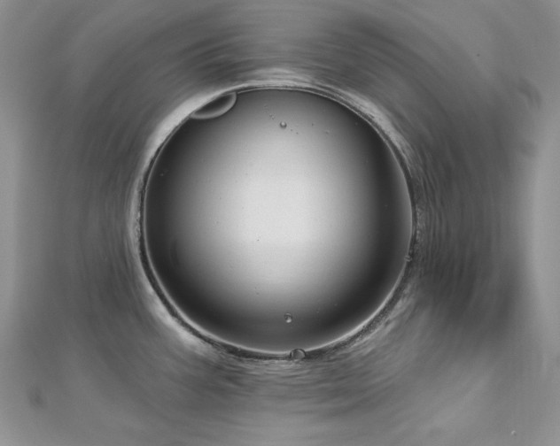 X0000113161387200909041246