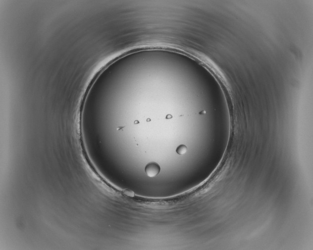 X0000113161388200909041246