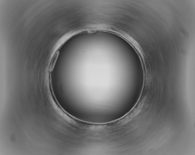 X0000113161389200909041246