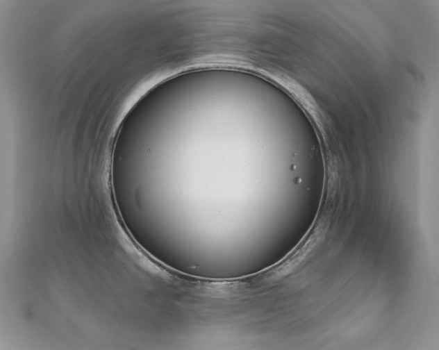 X0000113161390200909041245