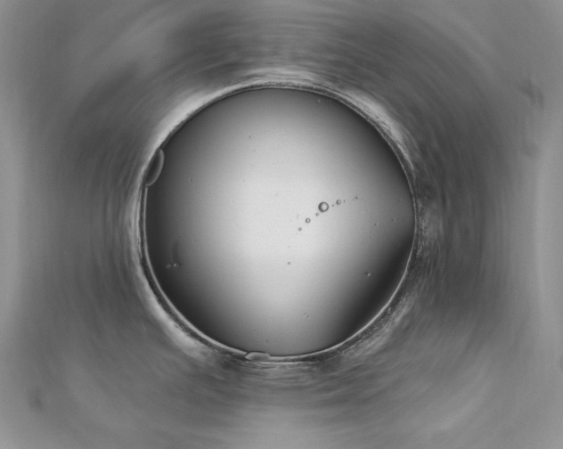 X0000113161391200909041245