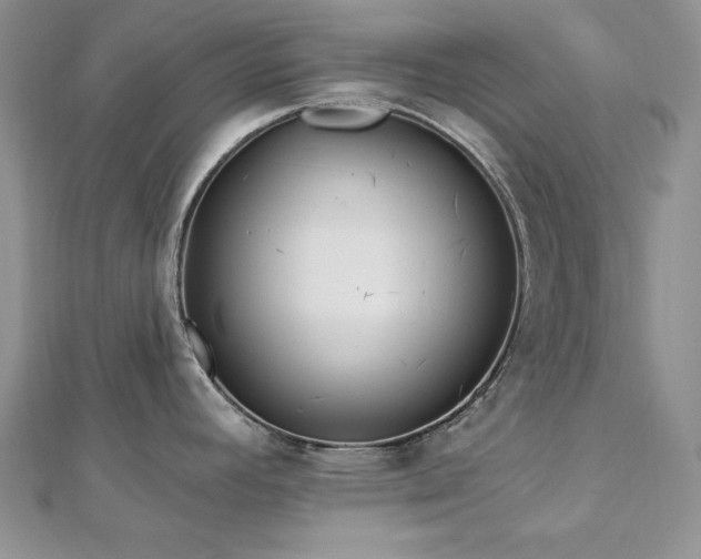 X0000113161392200909041245
