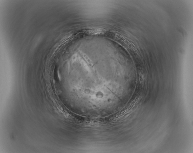 X0000113161393200909041245