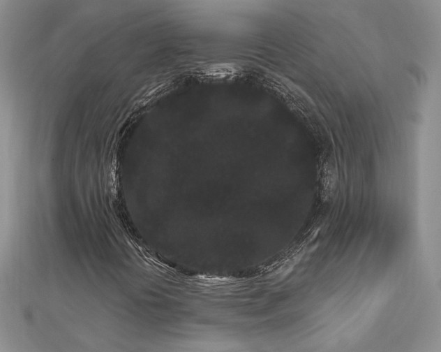 X0000113161394200909041245