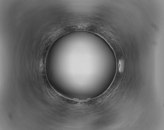 X0000113161395200909041245