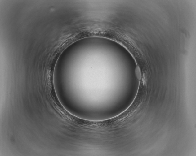 X0000113161396200909041245