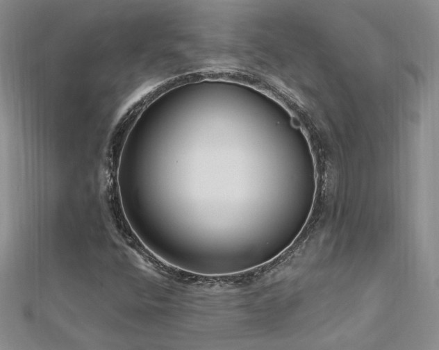 X0000113161400200909041245