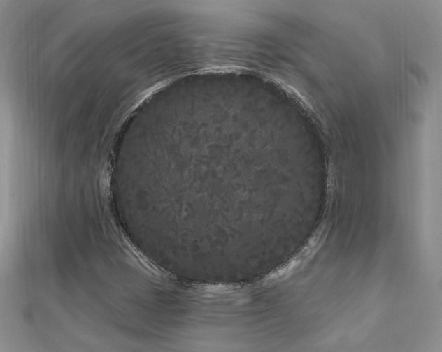 X0000113161401200909041245
