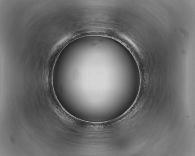 X0000113161403200909041245