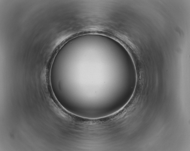X0000113161404200909041245