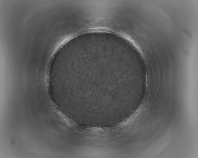 X0000113161405200909041245
